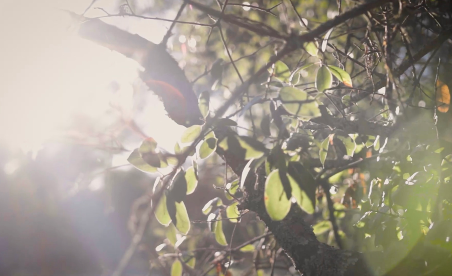 Image-11-7-25-at-2.30-AM-2.webp